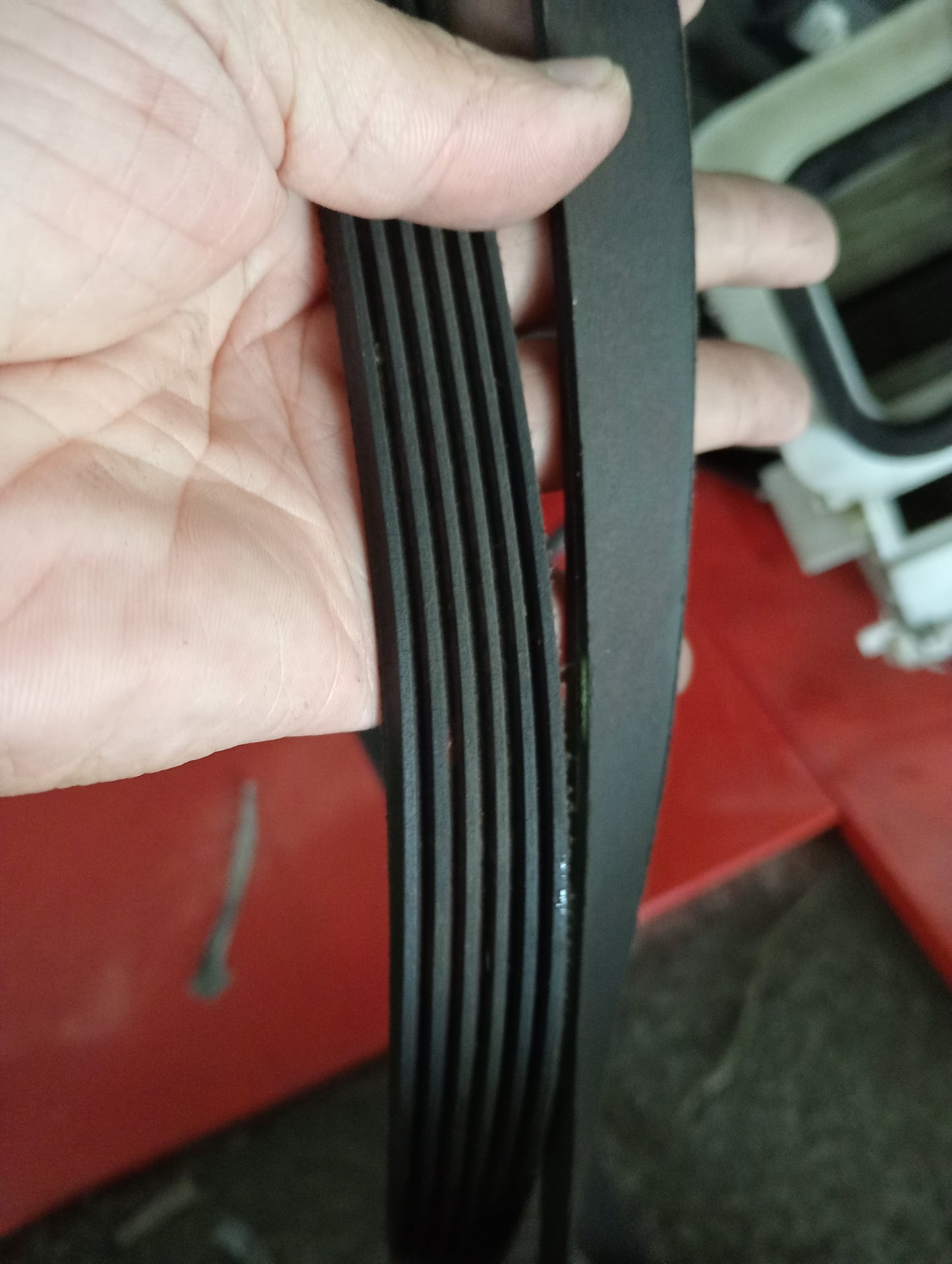 Nissan | X-Trail | Fan Belt