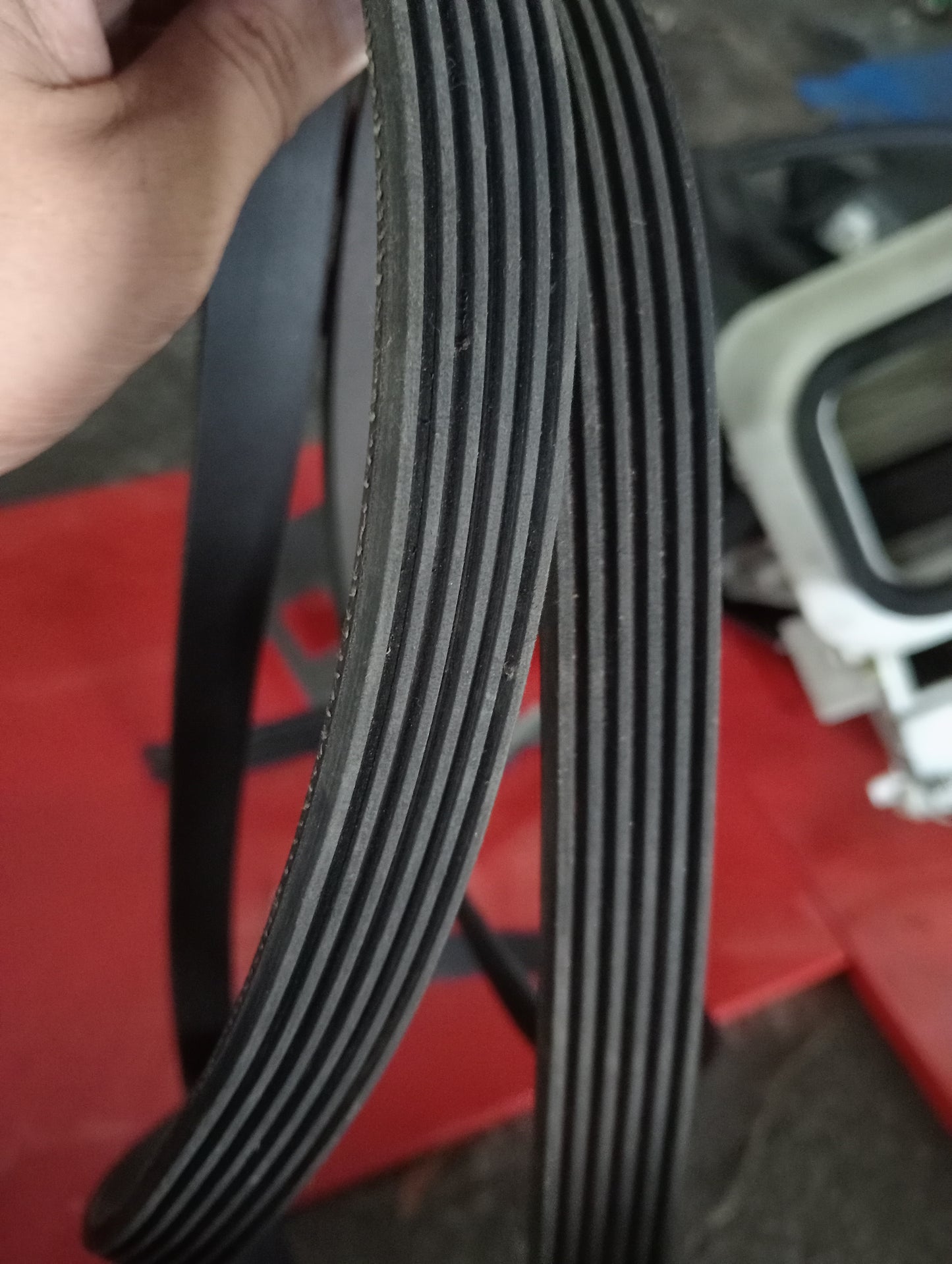 Nissan | X-Trail | Fan Belt