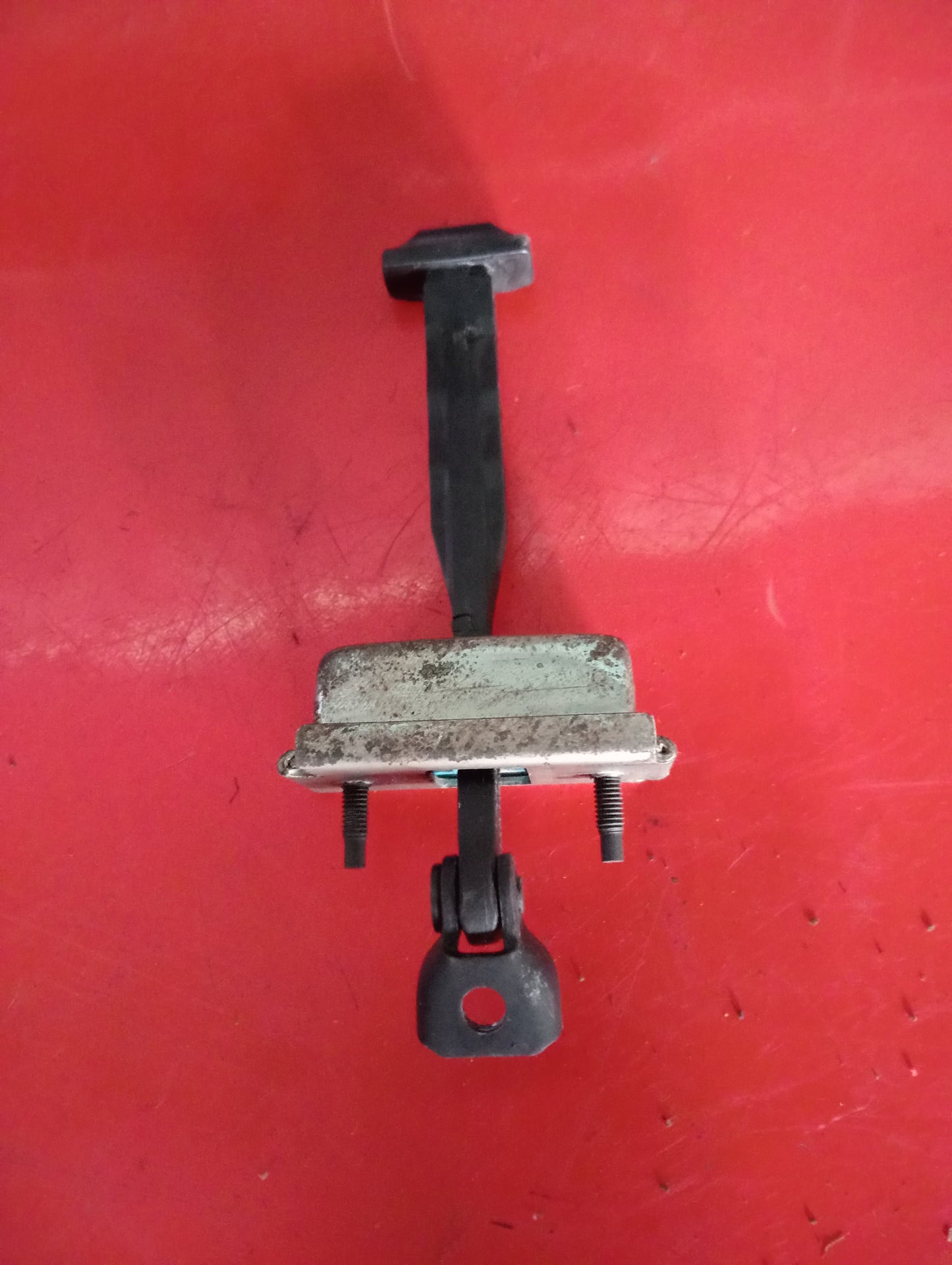 Ford Ecosport | Titanium | Door Hinge