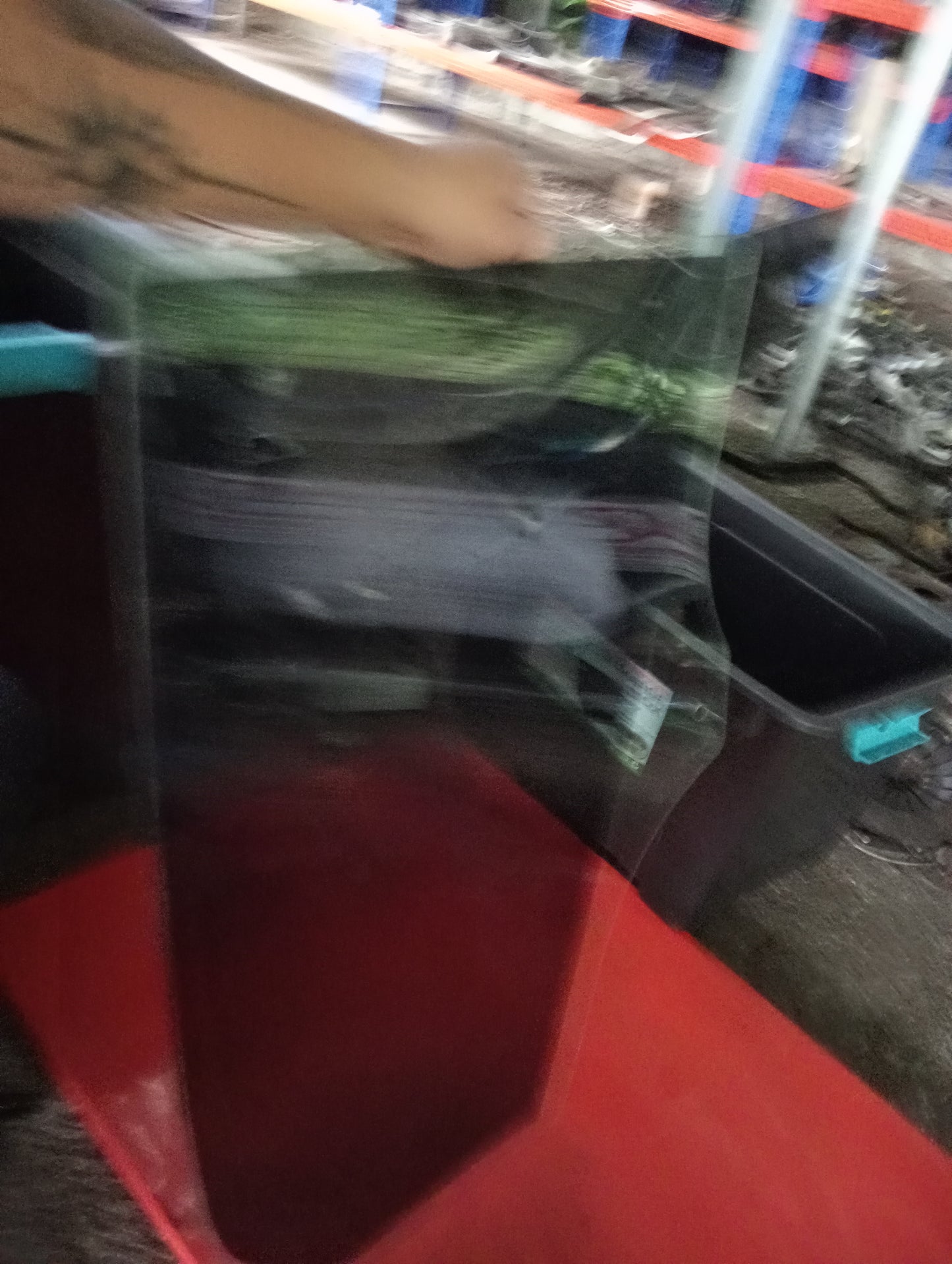 Ford Ecosport | Titanium | Window Glass Rear Driver Side