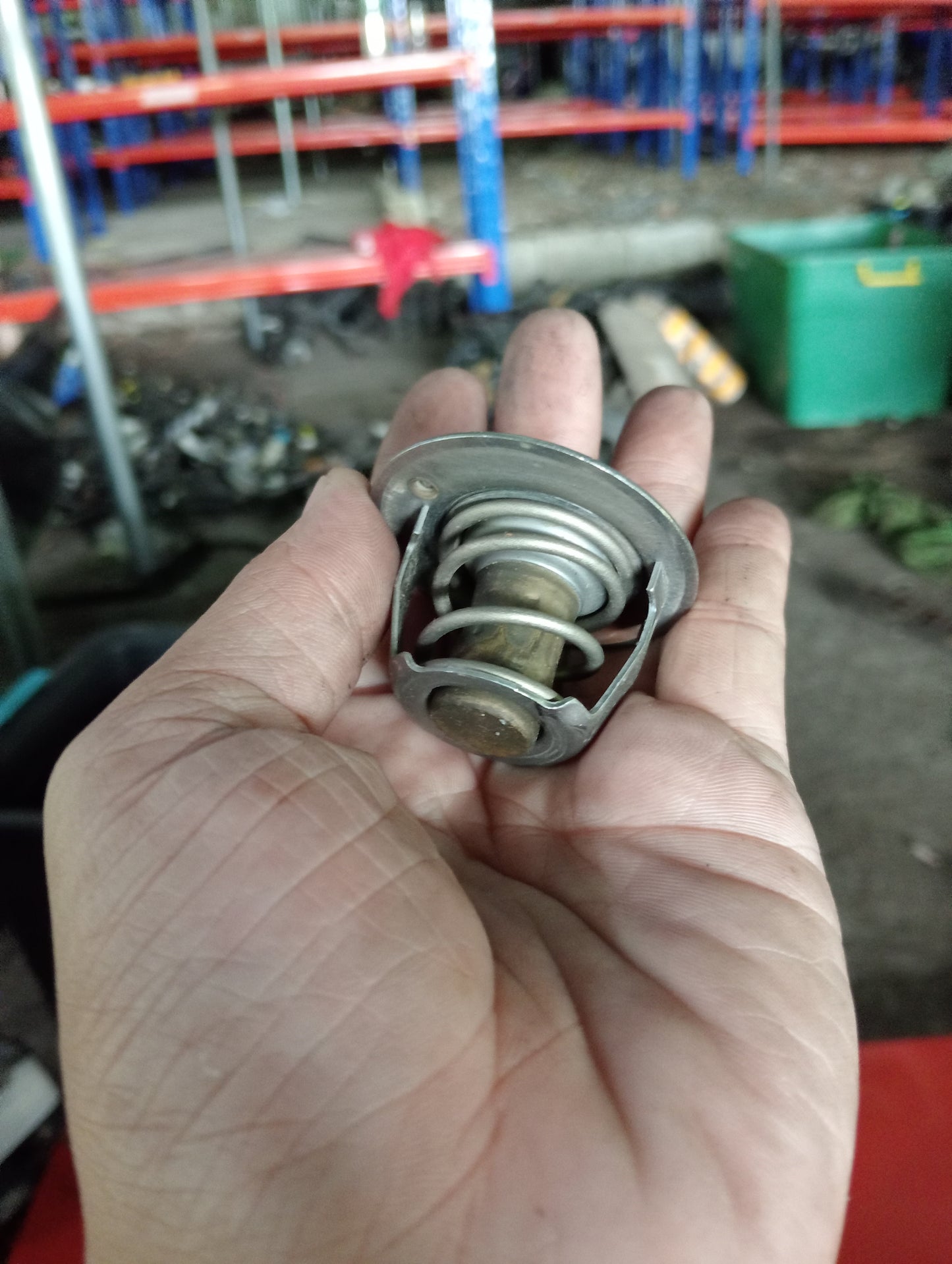 Ford Ecosport | Titanium | Thermostat