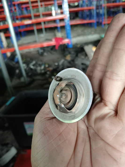 Ford Ecosport | Titanium | Thermostat