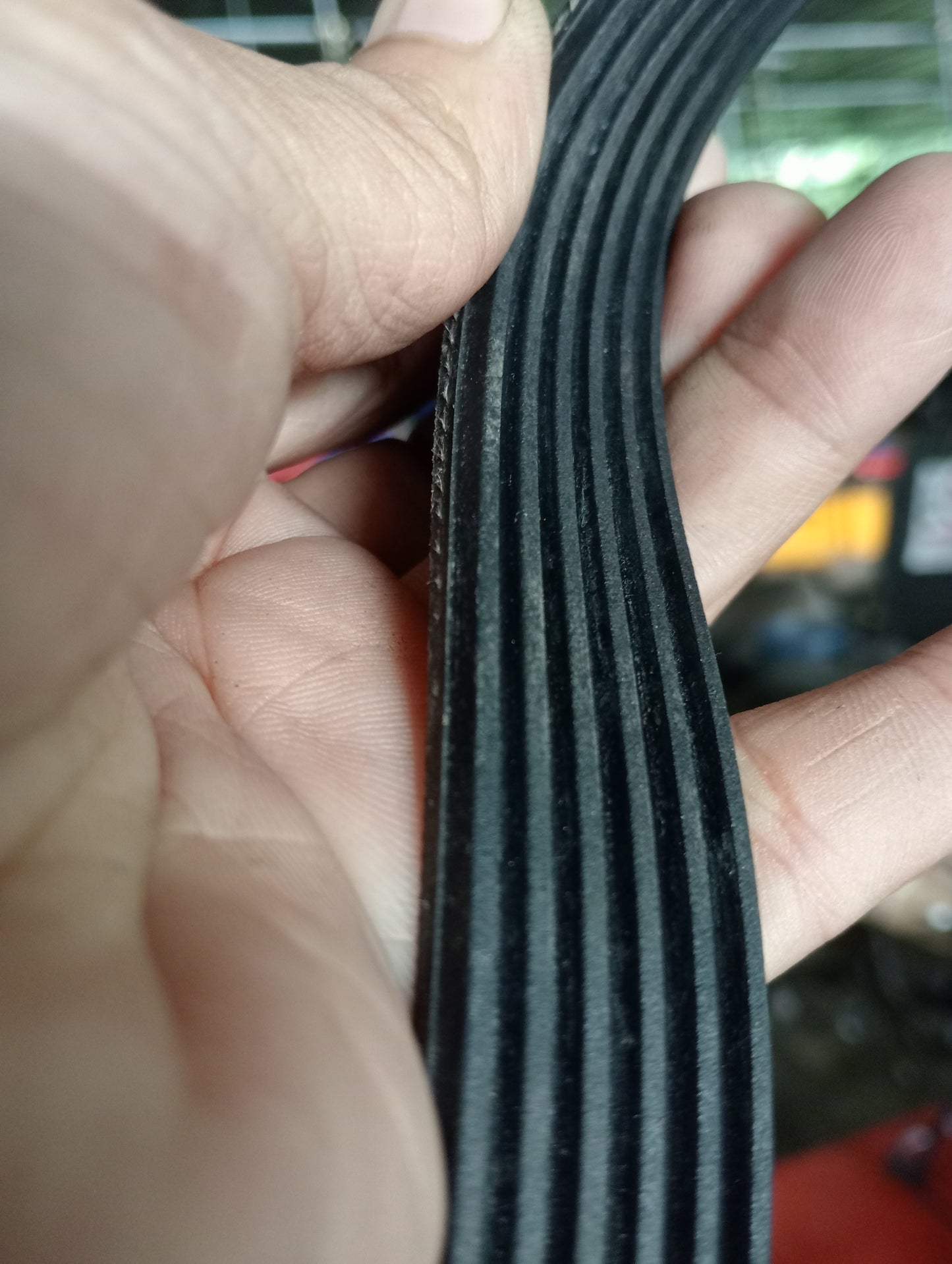 Ford Ecosport | Titanium | Drive Belt