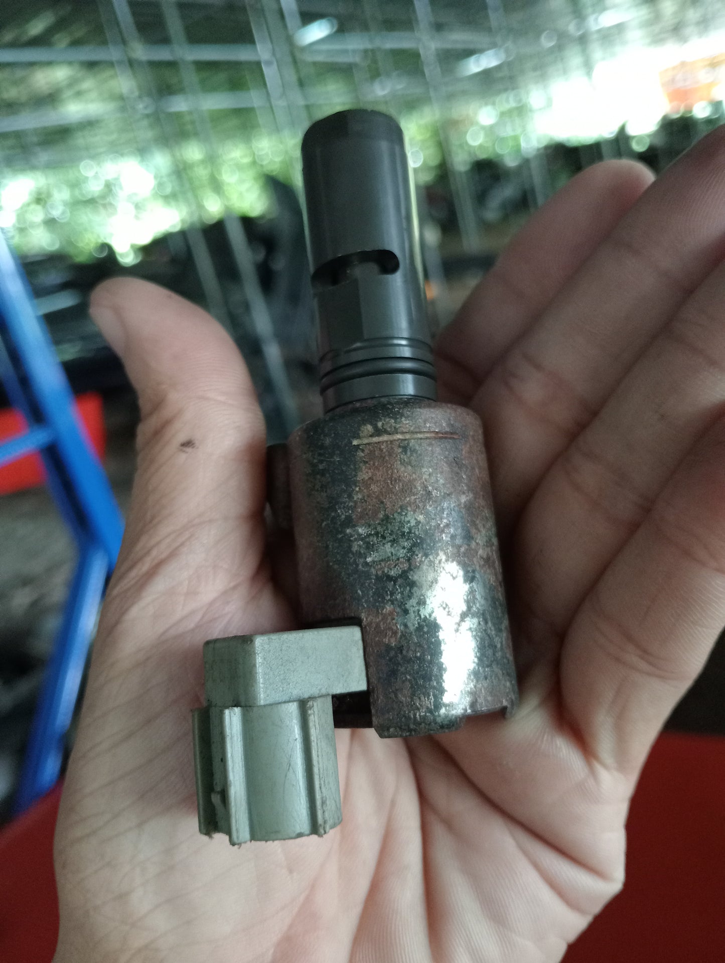 Ford Explorer | Eddie Bauer | VVTI Solenoid