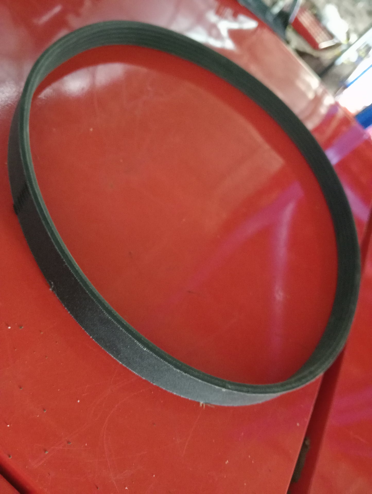 Mitsubishi | Cedia | Drive Belt