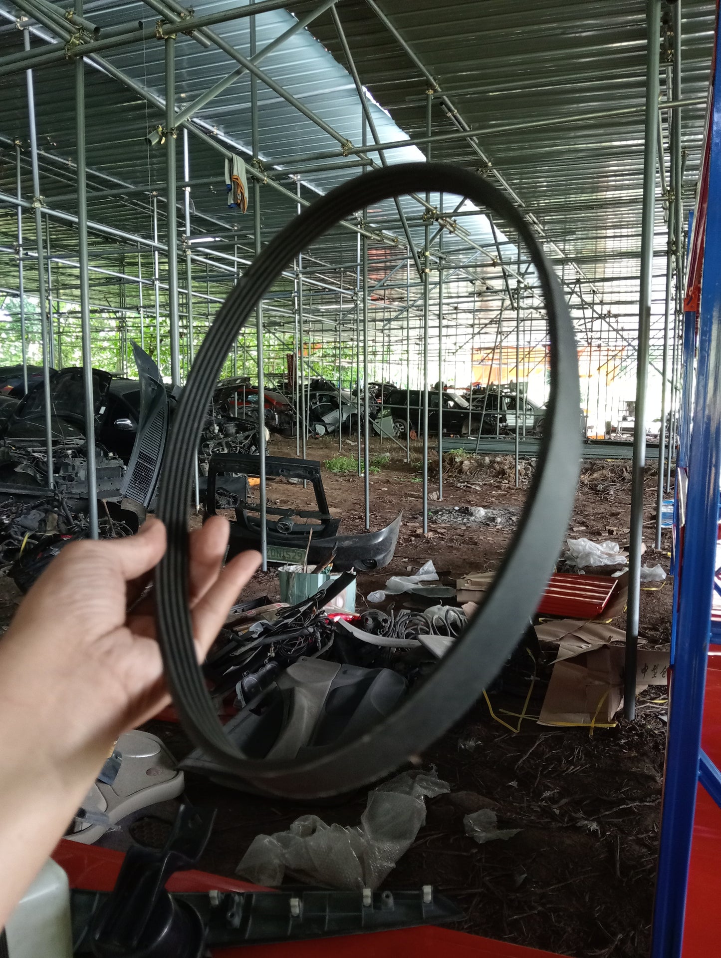 Mitsubishi | Cedia | Drive Belt