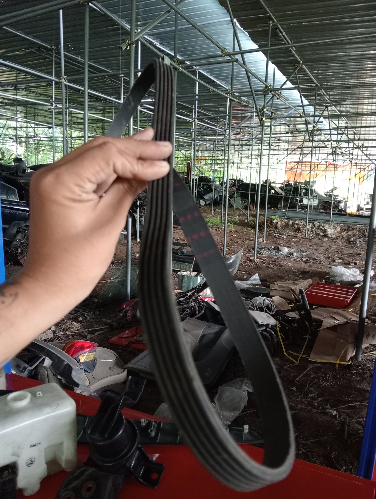 Mitsubishi | Cedia | Fan Belt