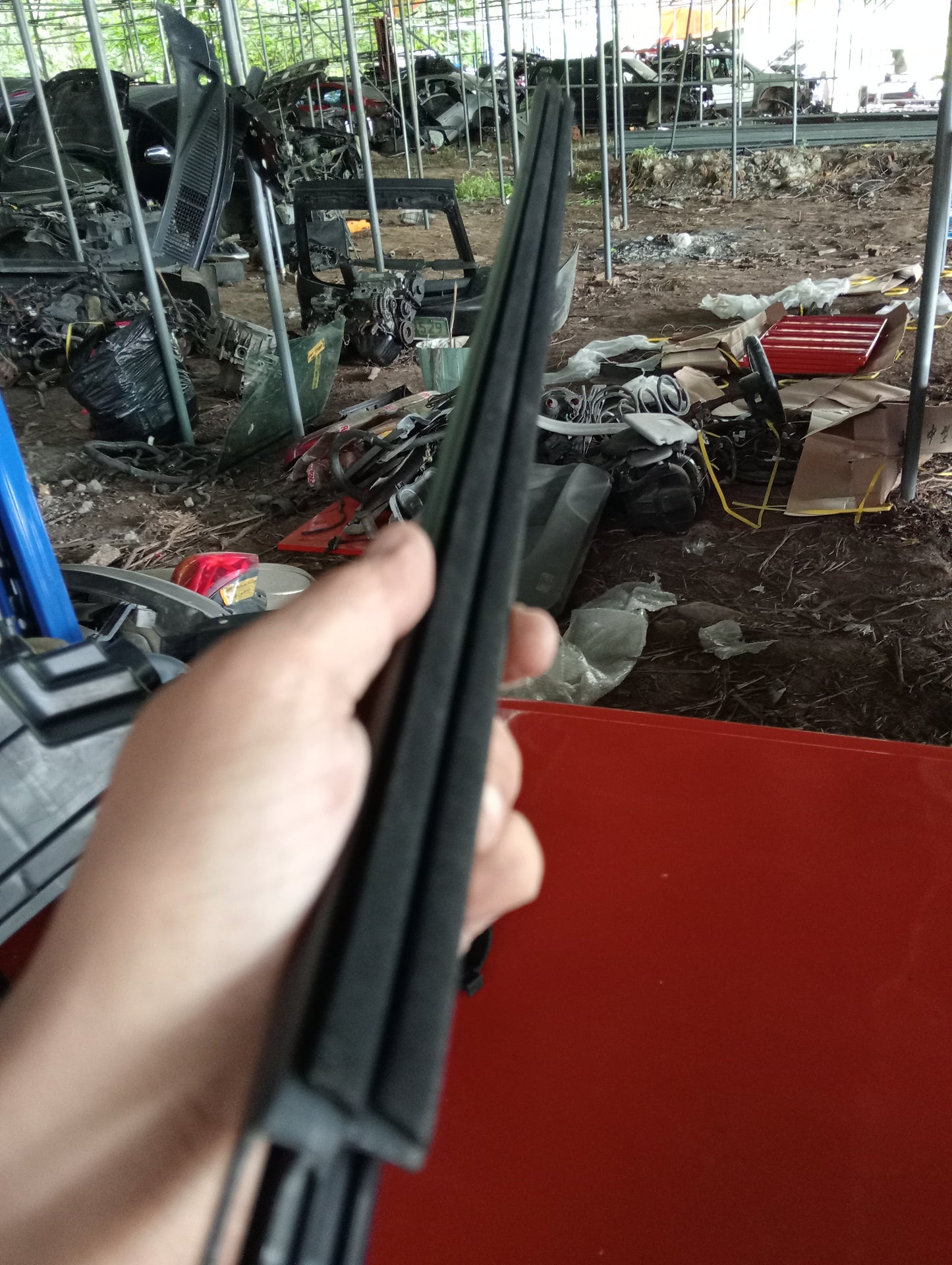 Mitsubishi | Cedia | Inner Weather Strip