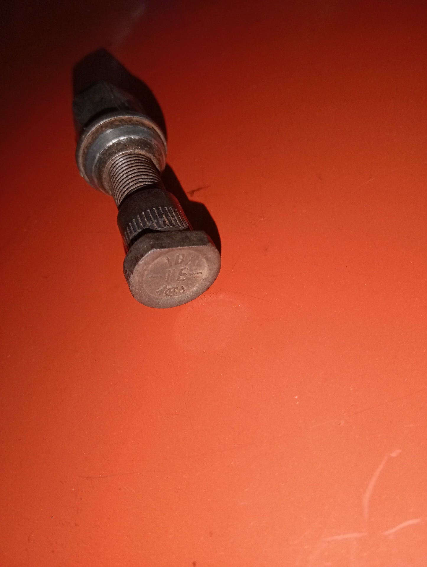 Eddie Bauer/ Stud Nut