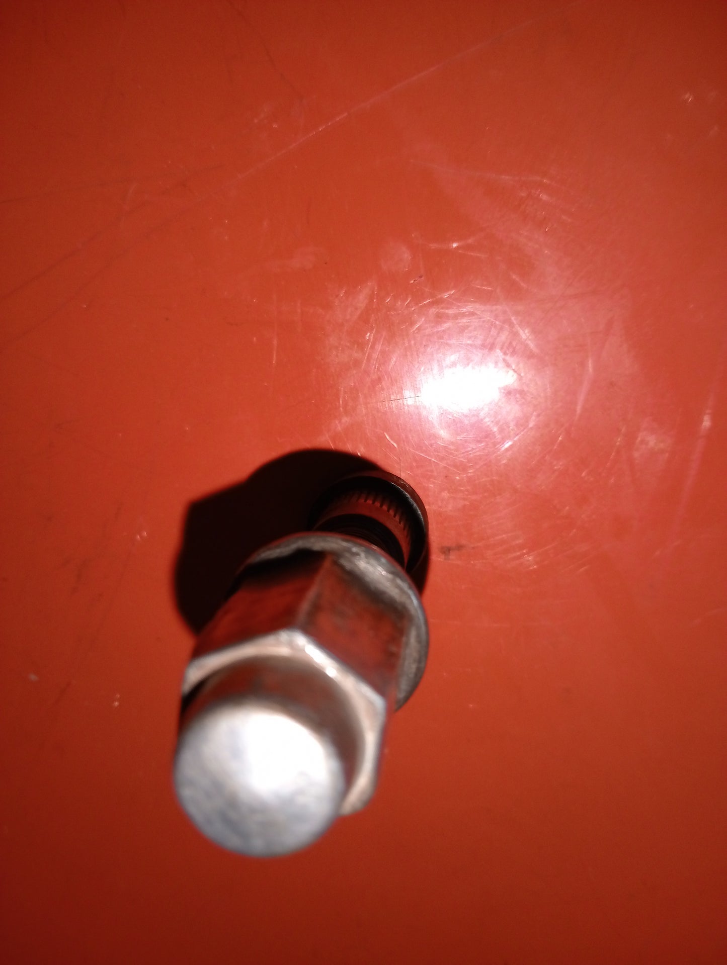Eddie Bauer/ Stud Nut