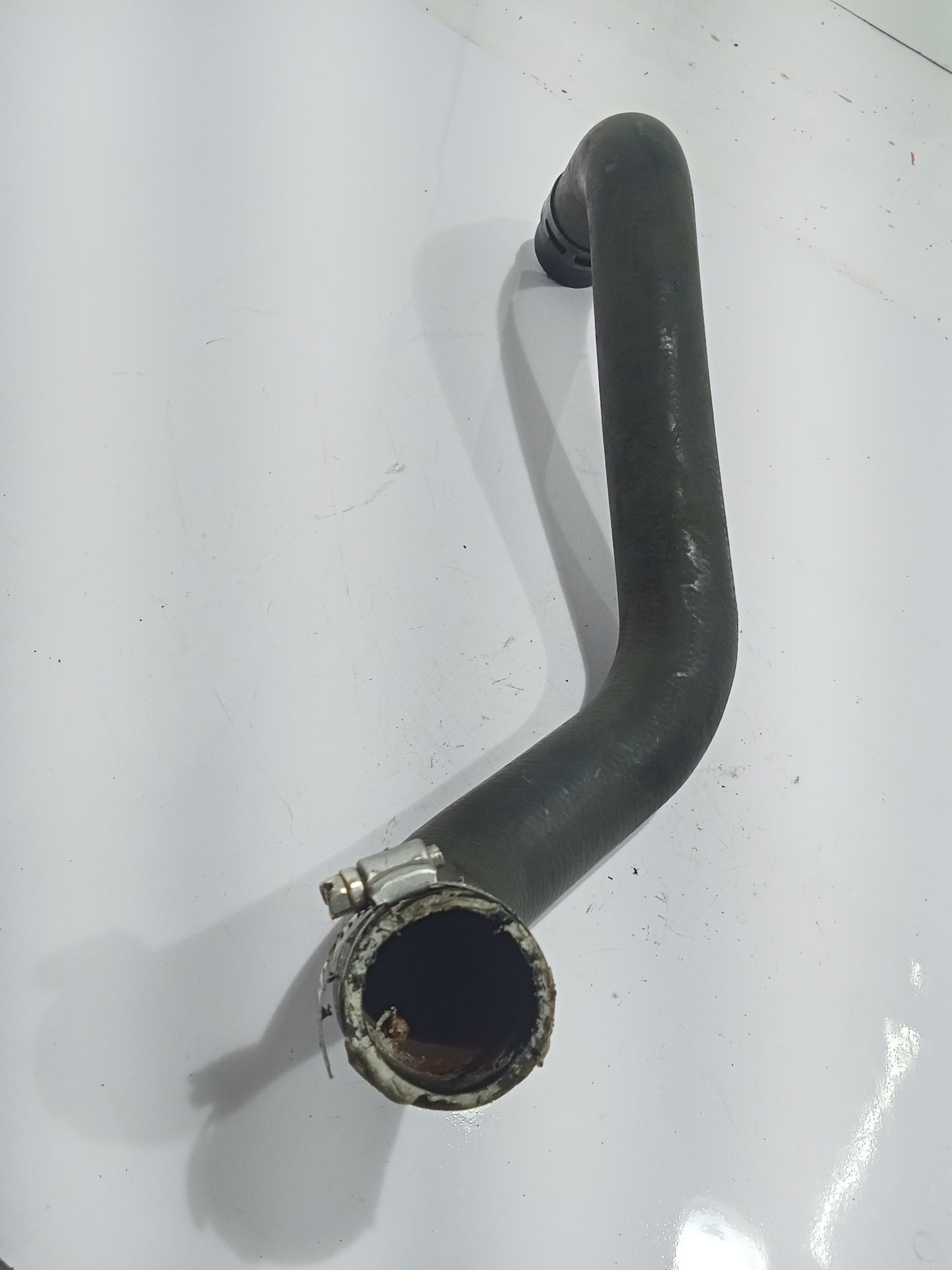Ford Escape 2.0 Lower Radiator Hose GENUINE ORIGINAL SURPLUS