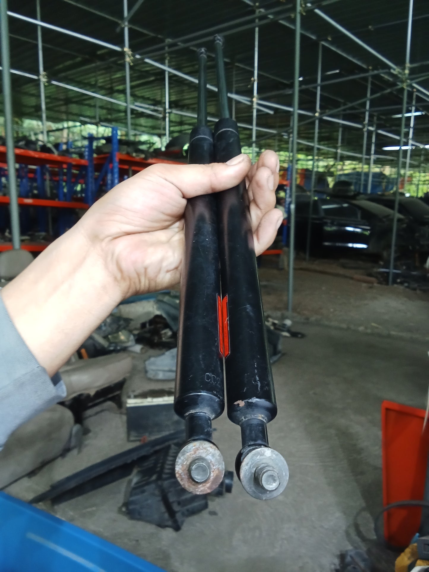 Ford Escape 2.0 2pcs Tail Gate Hydraulic Strut GENUINE ORIGINAL SURPLUS