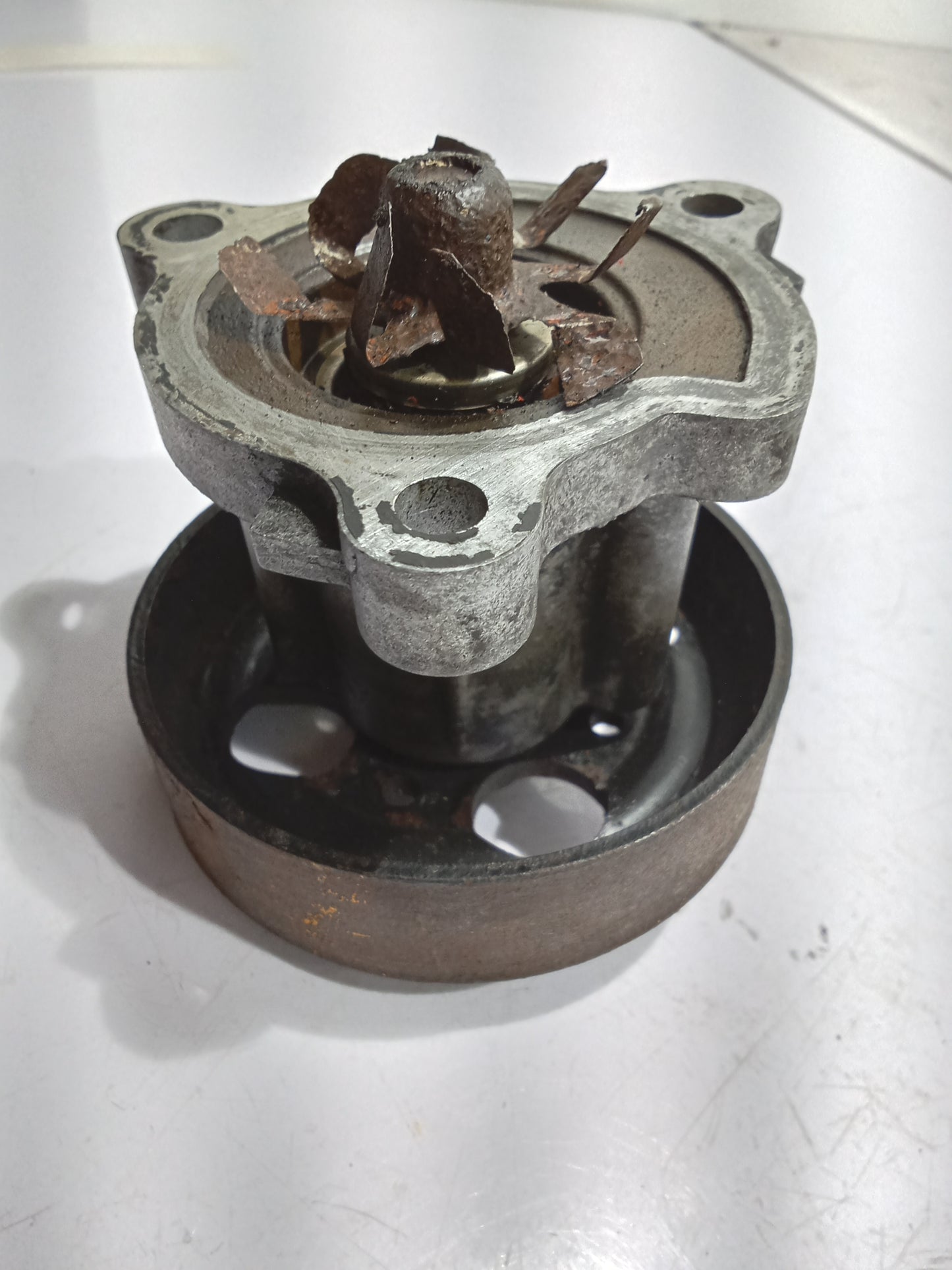Nissan X-Trail Water Pump GENUINE ORIGINAL SURPLUS