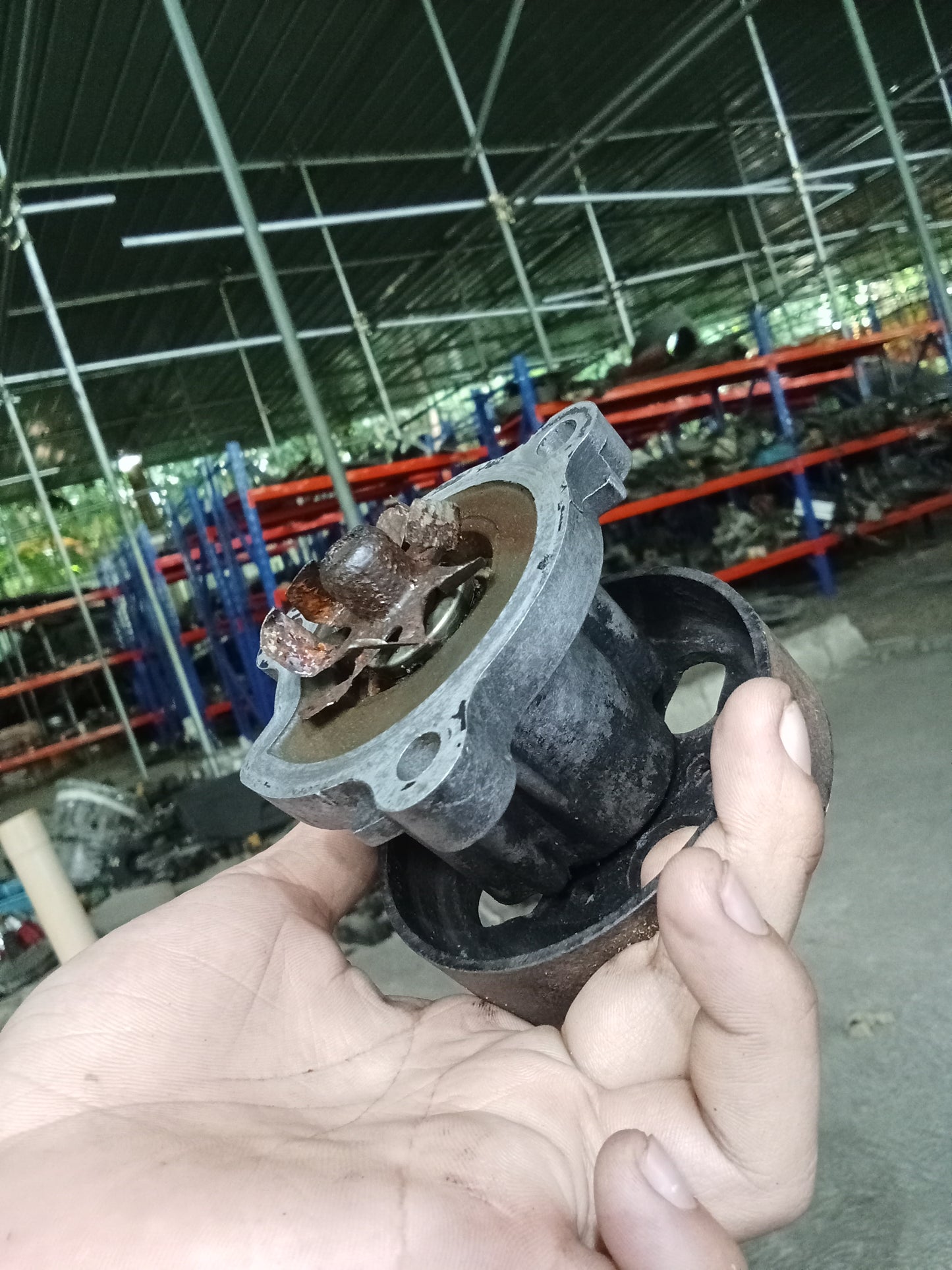 Nissan X-Trail Water Pump GENUINE ORIGINAL SURPLUS