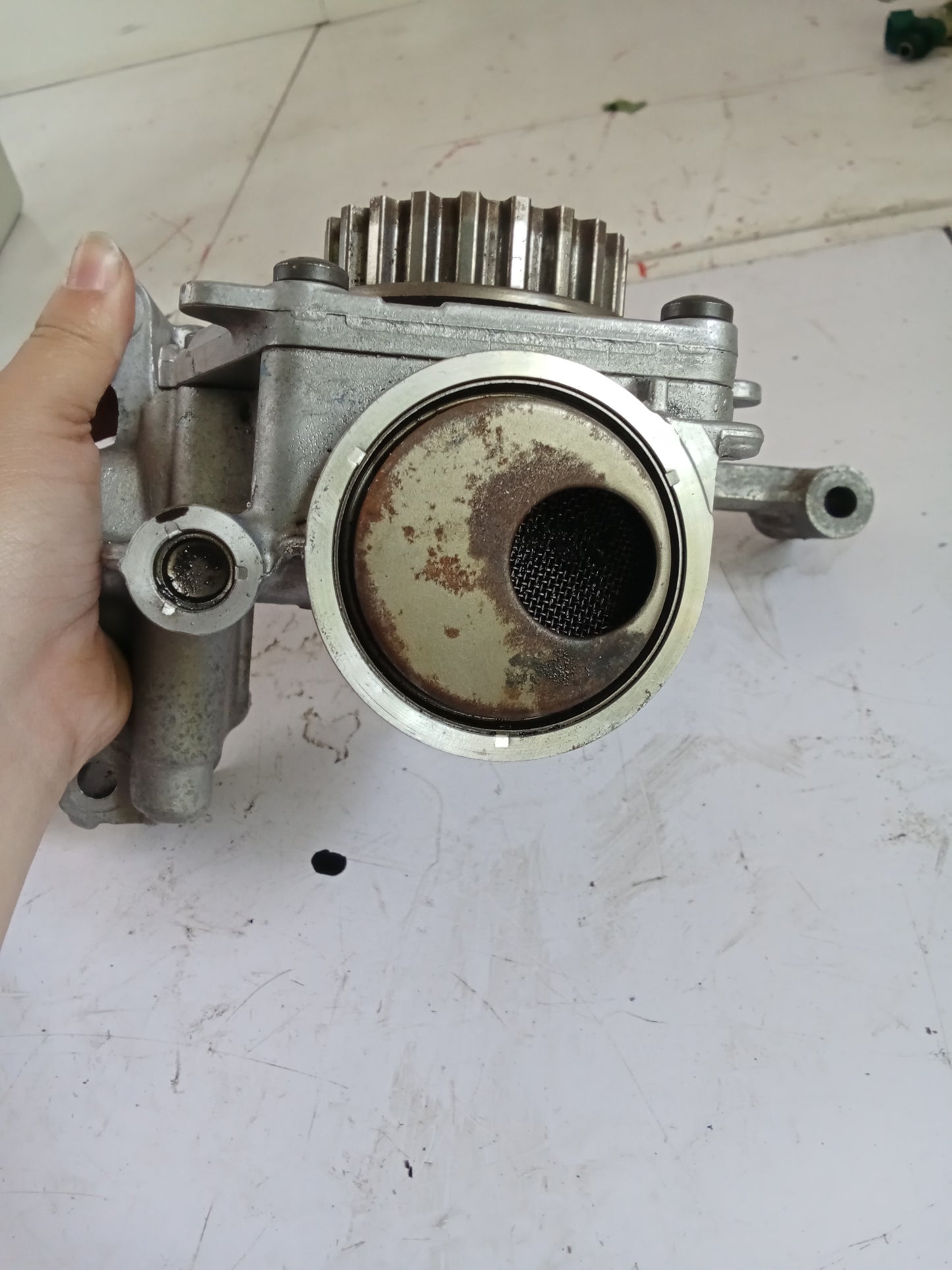 Oil Pump | Ford EcoBoost