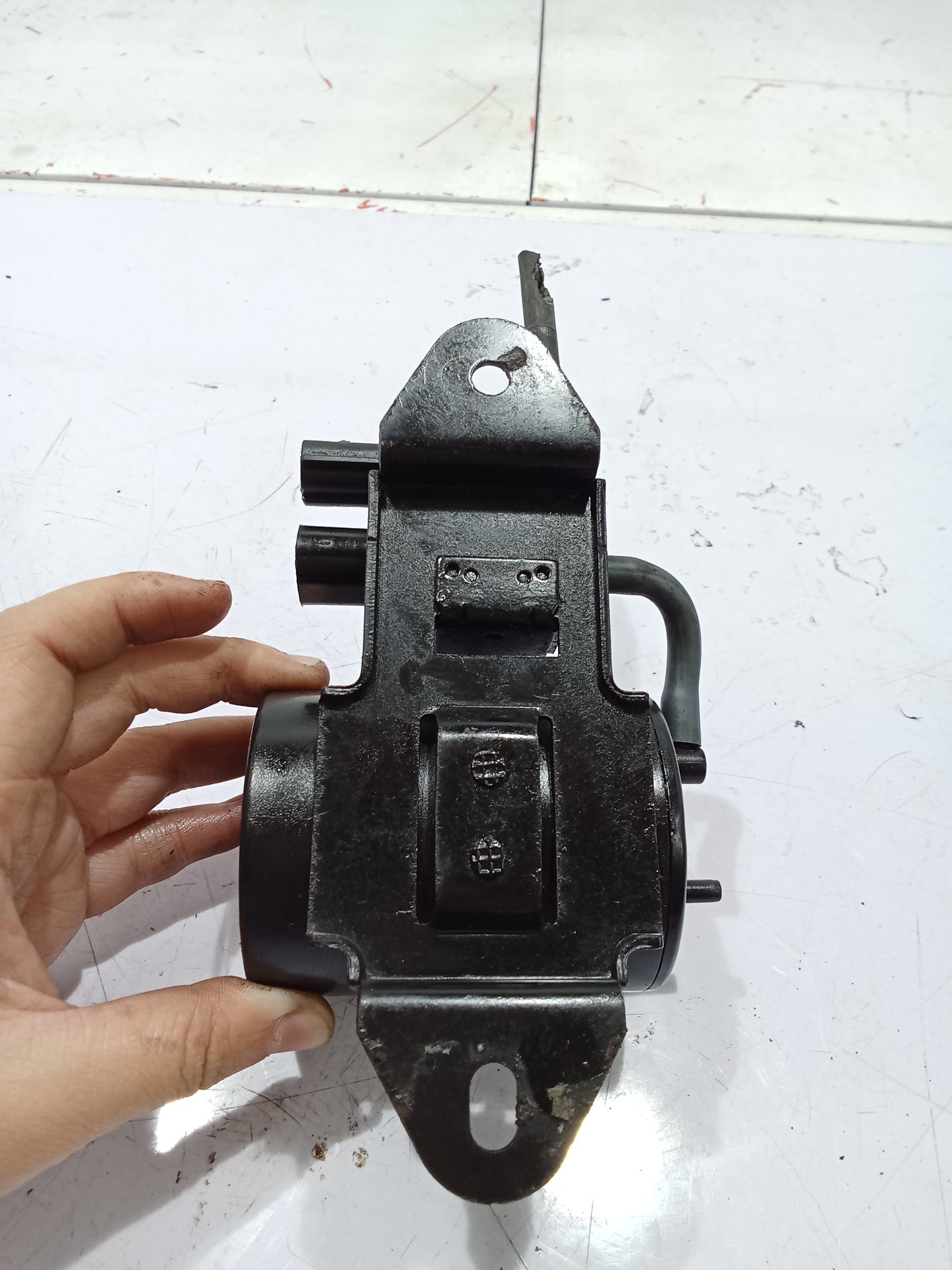 Canister | Ford Escape 2.3