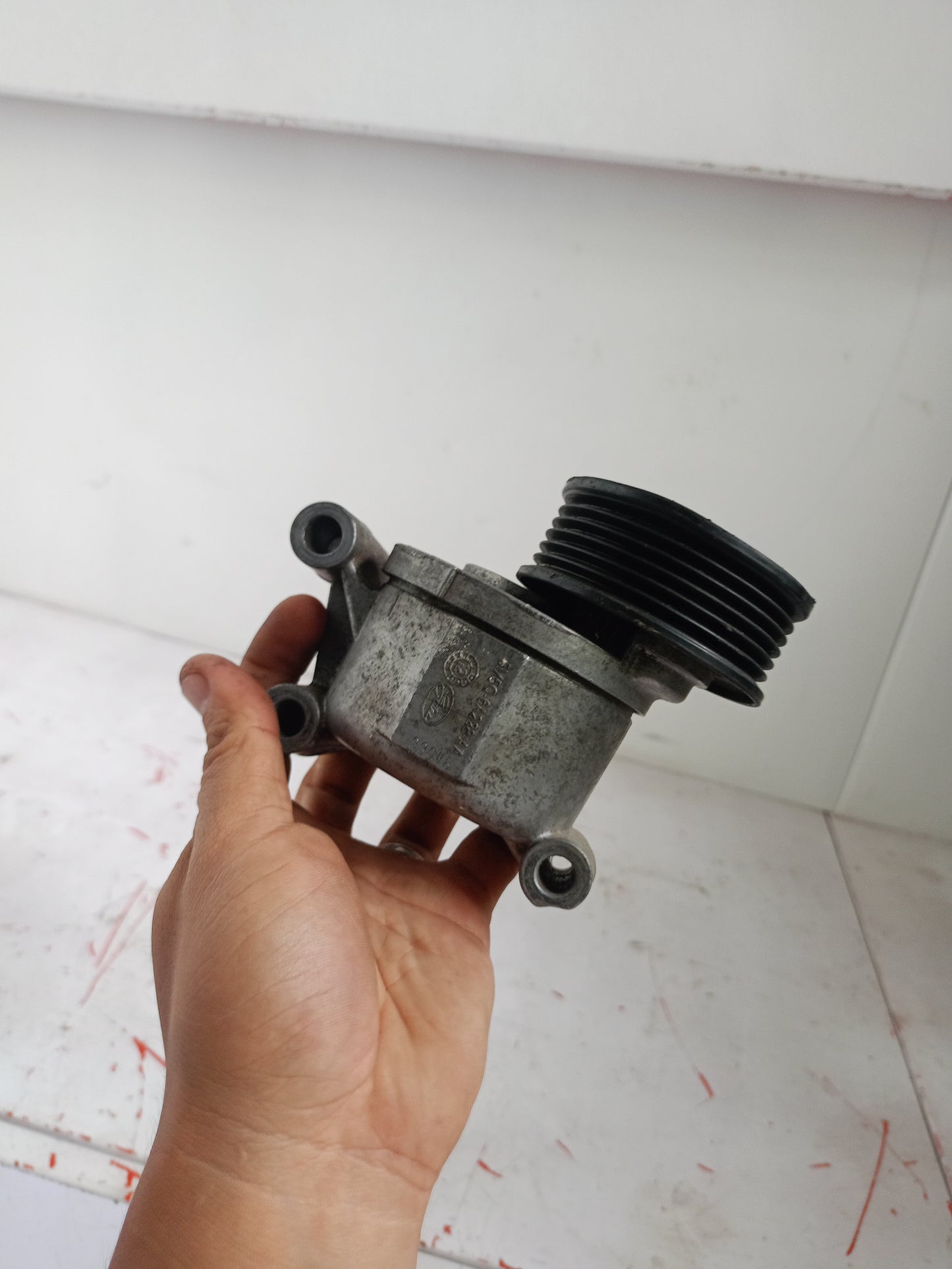 Belt Tensioner | Ford Focus 1.8 Gas.