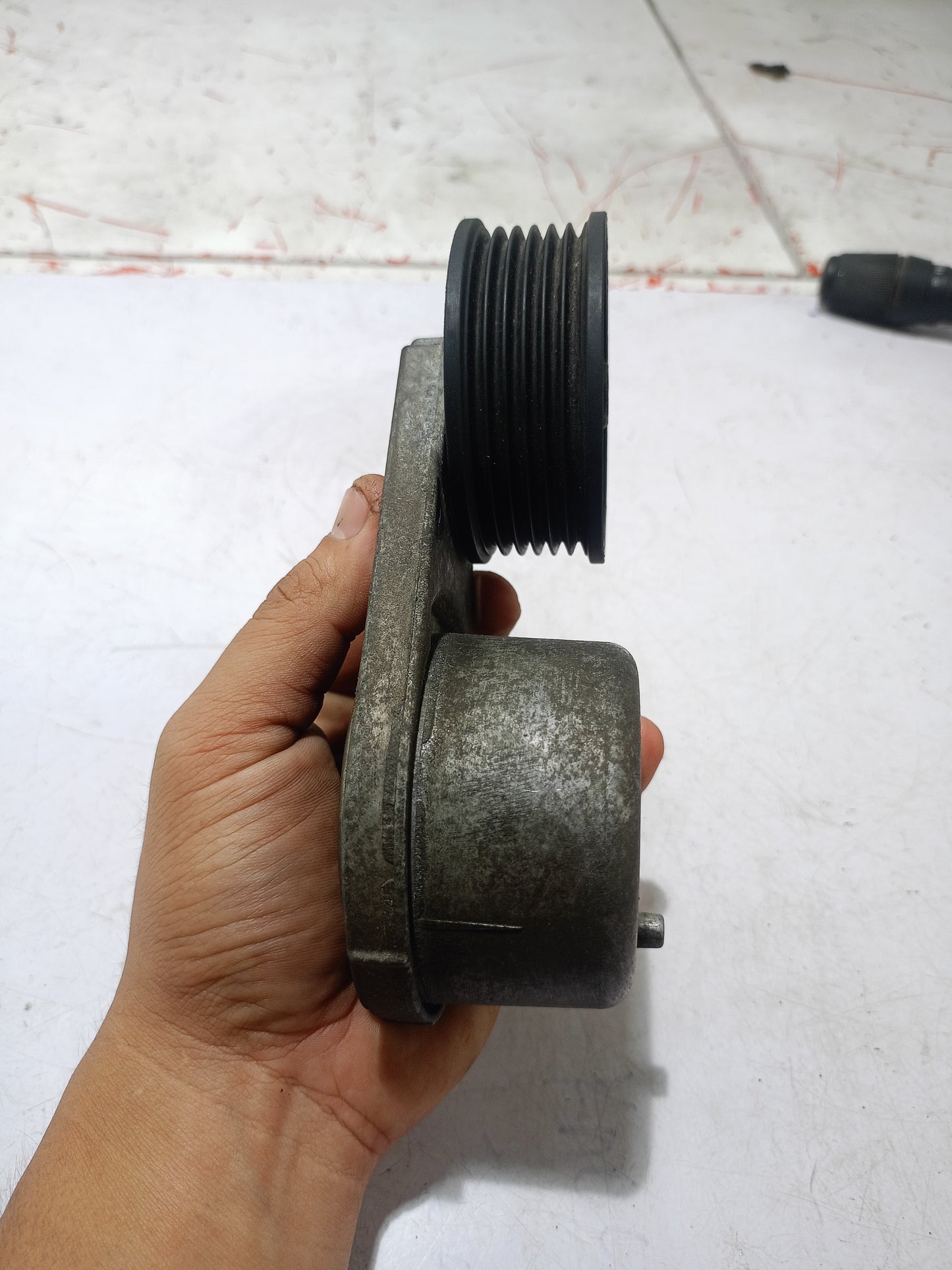 Belt Tensioner | Explorer Eddie Bauer