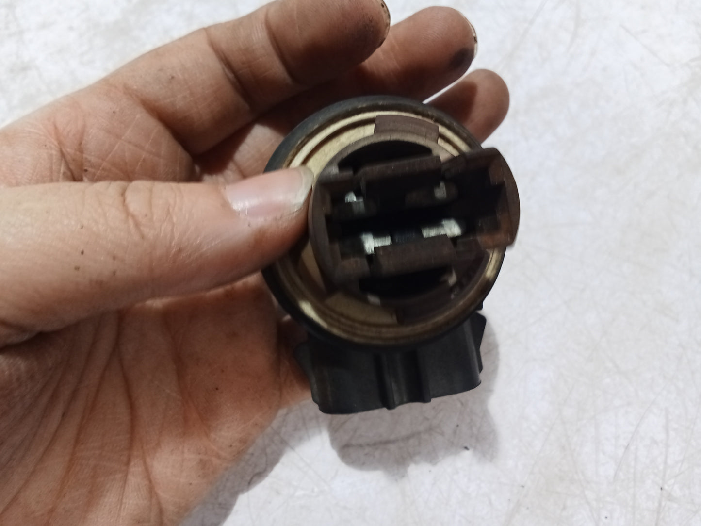 Bulb Holder Socket | Ford Expedition