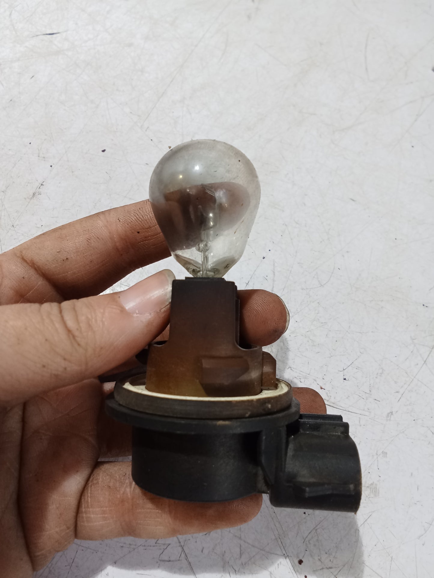 Light Bulb Socket w Bulb | Ford expedition