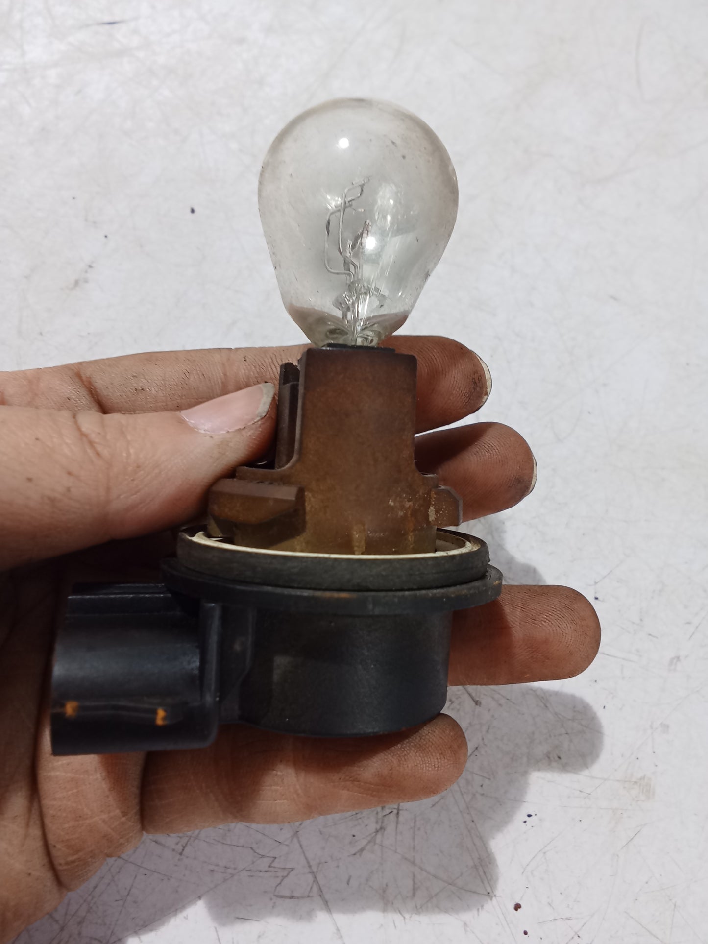 Light Bulb Socket w Bulb | Ford expedition