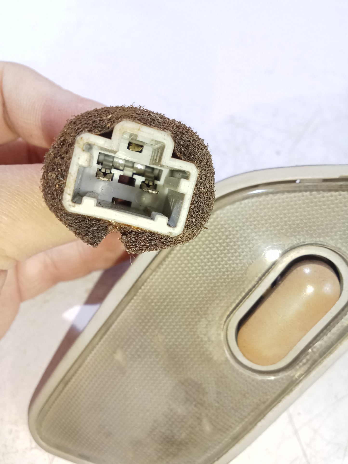 Dome Light | Honda Accord