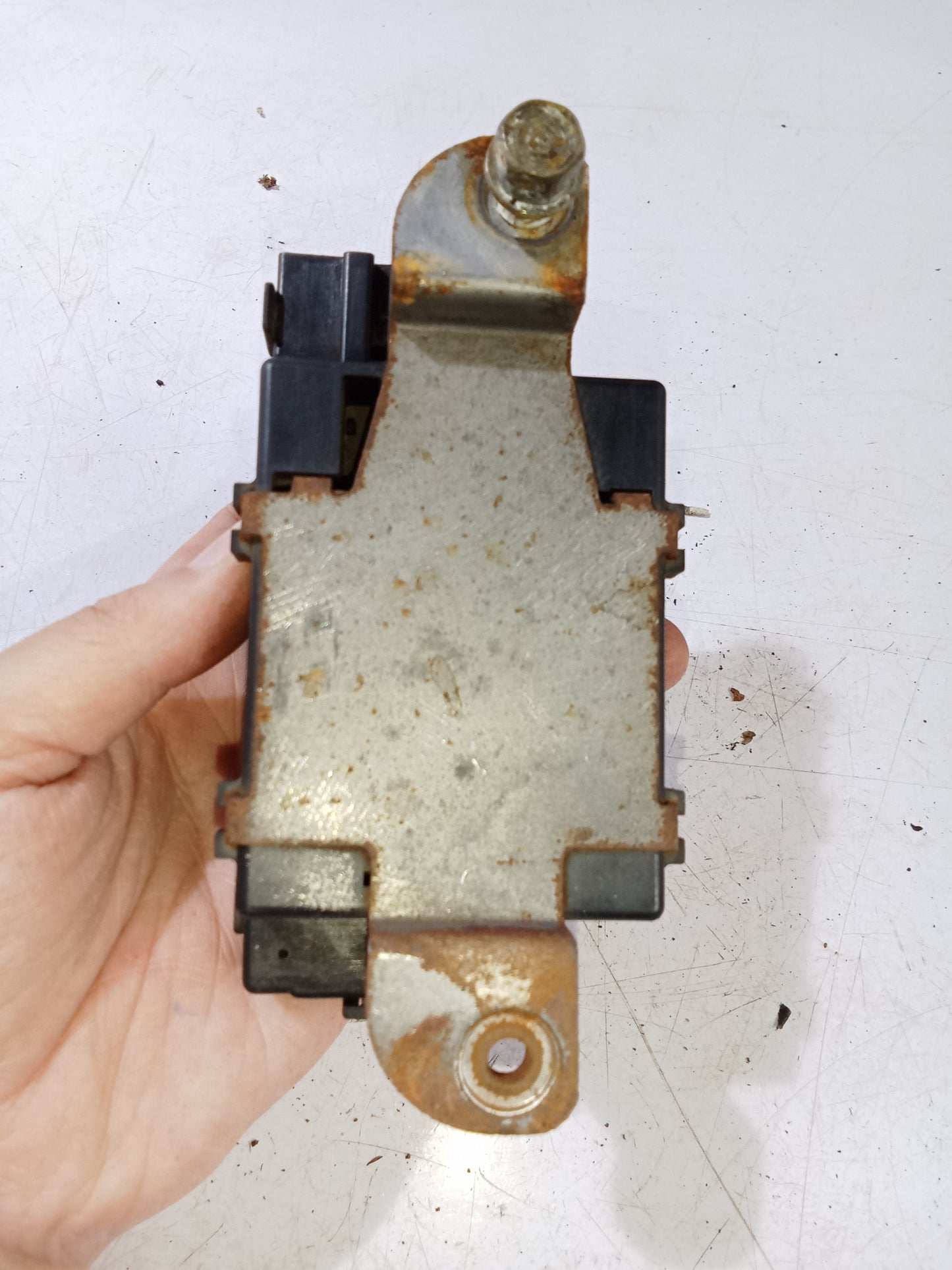 Rear Window Antenna and Defroster Module | Honda Accord