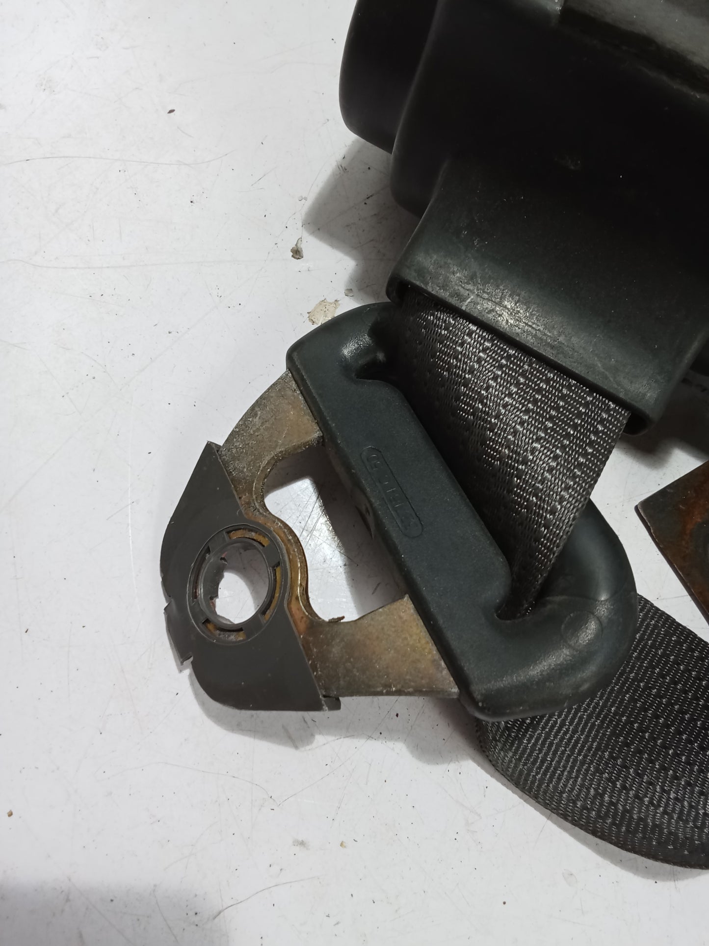 Seat Belt R/P/S | Ford Sportrac