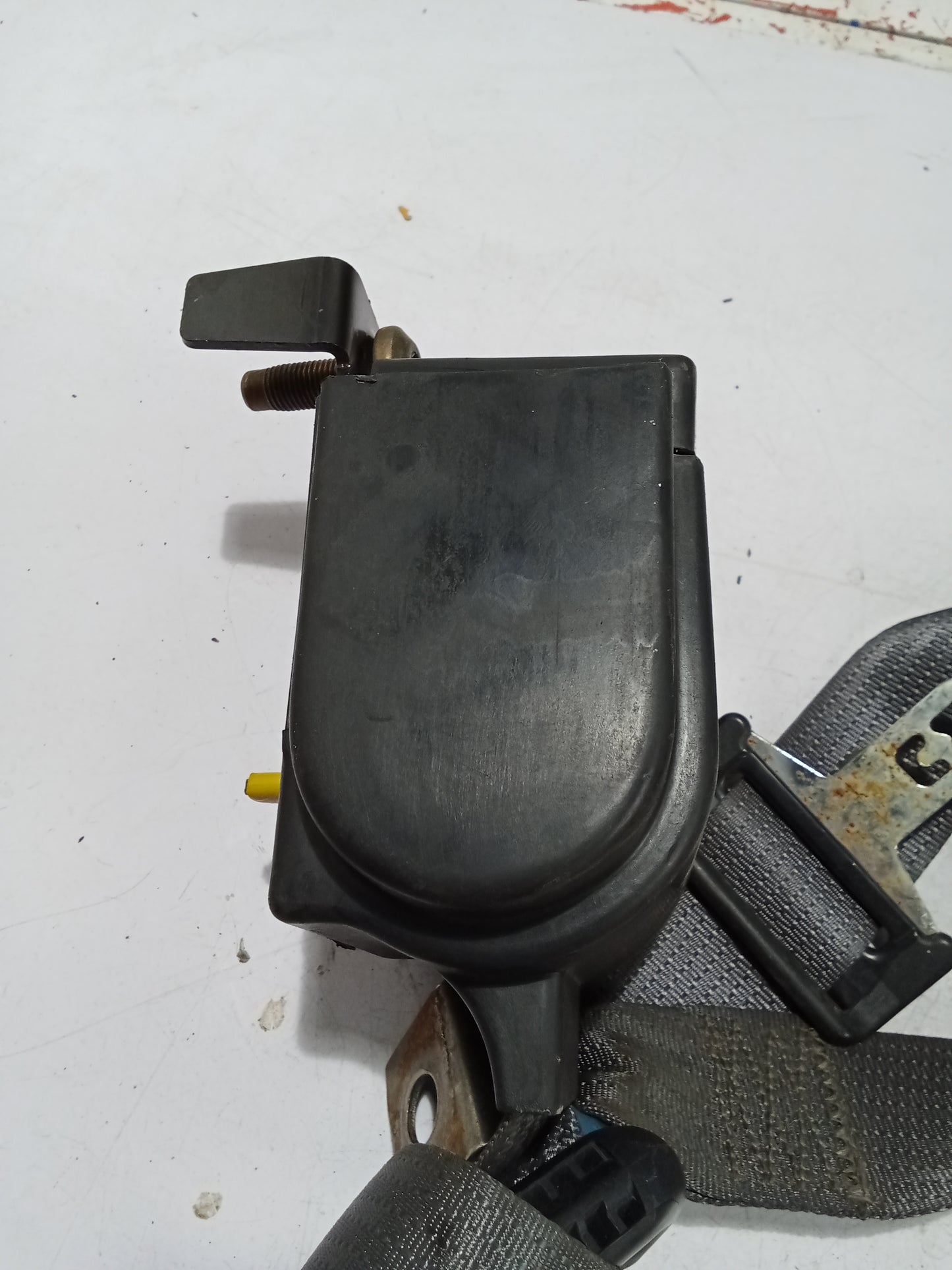 Seat Belt R/P/S | Ford Sportrac