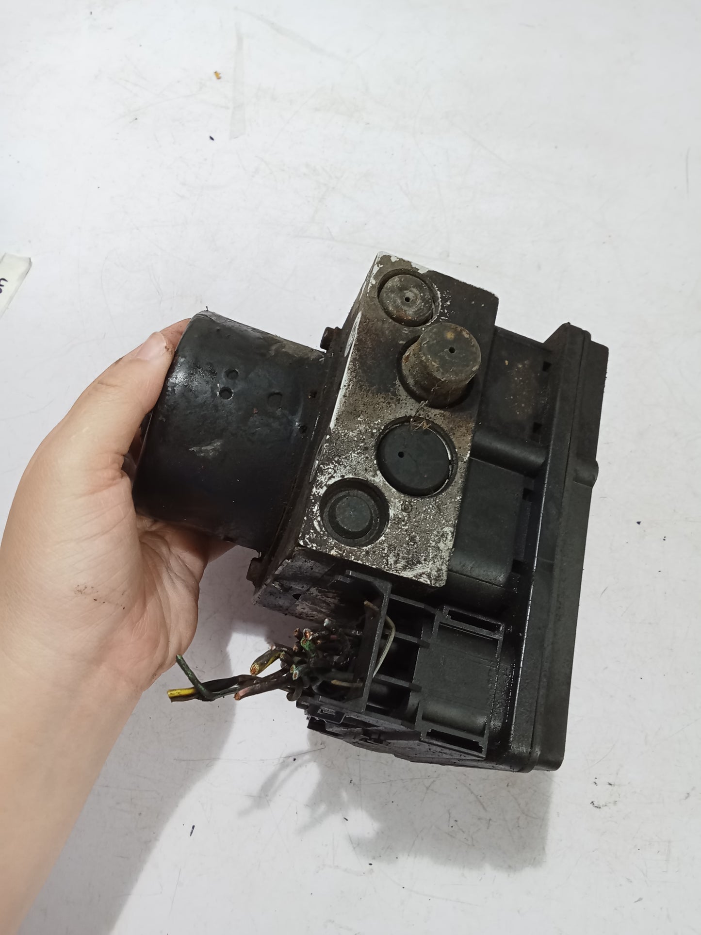 Seat Belt P/S | Ford Focus