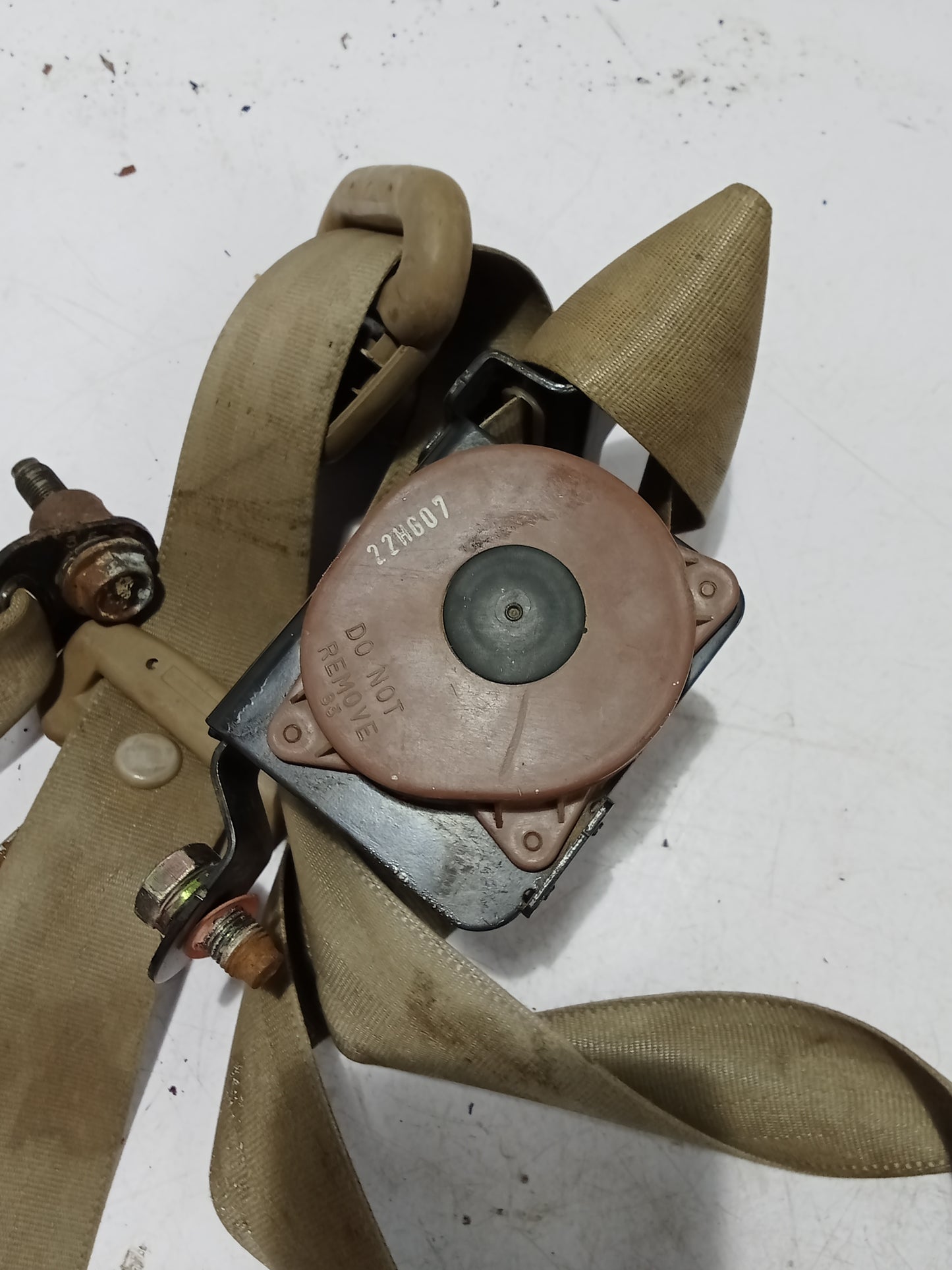 Seatbelt P/S  | Chevrolet Optra