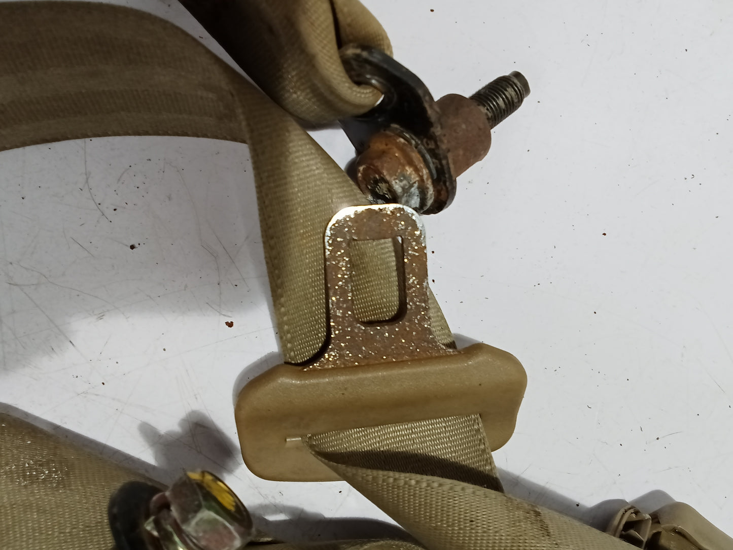 Seatbelt P/S  | Chevrolet Optra