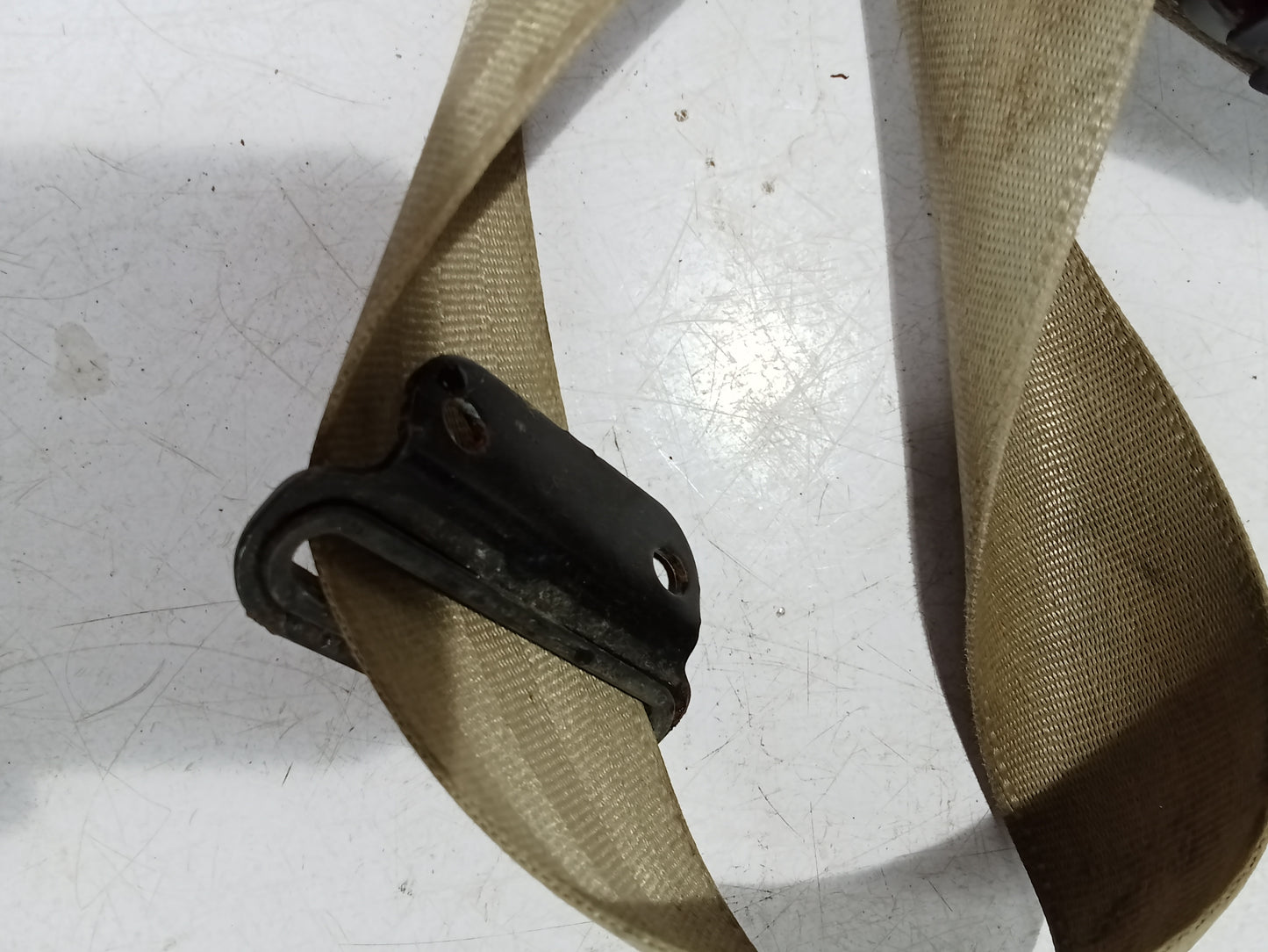 Seatbelt P/S  | Chevrolet Optra