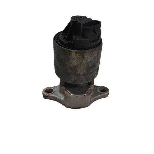 EGR Valve | Chevrolet Captiva Gas