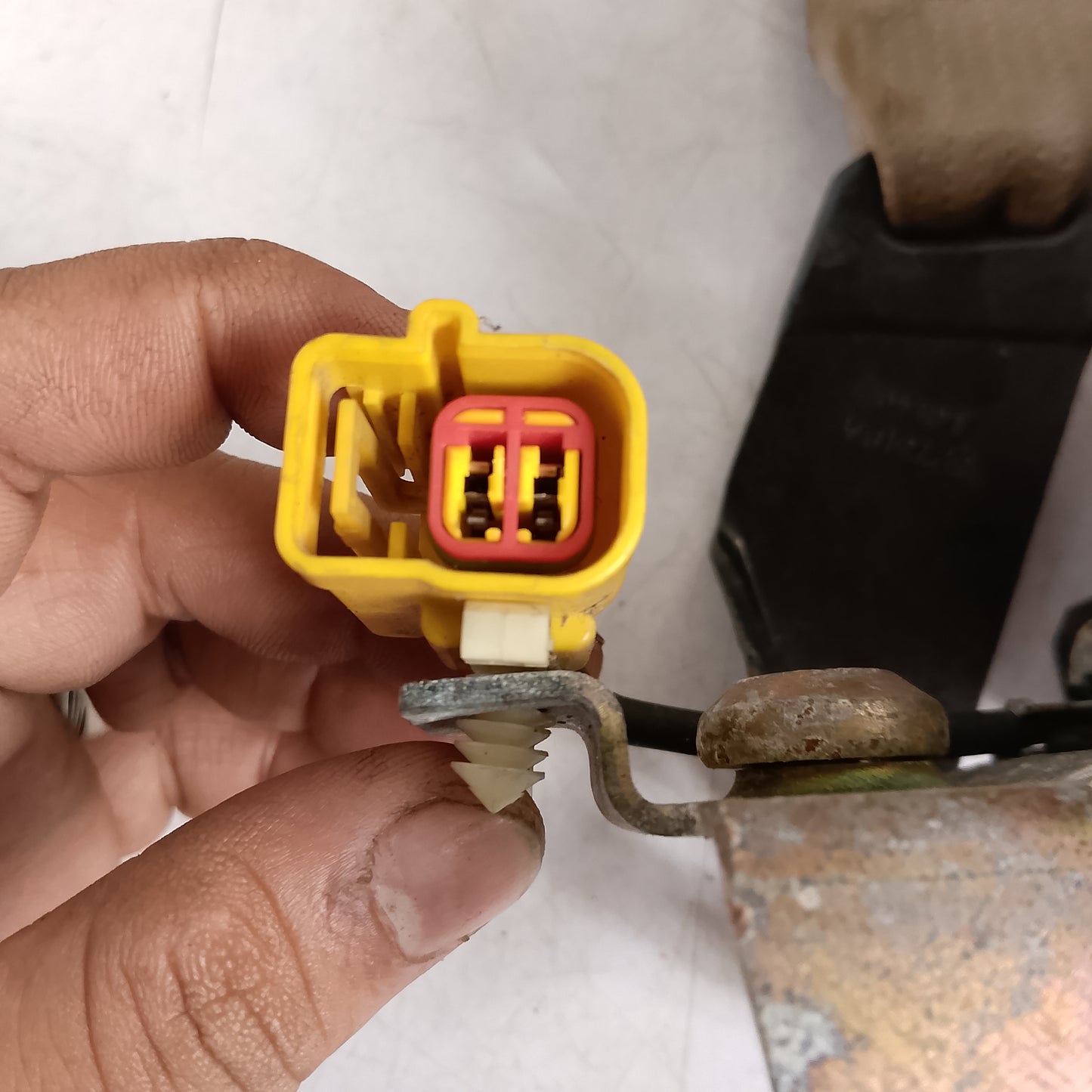 Seatbelt Assy F/P/S | Expedition