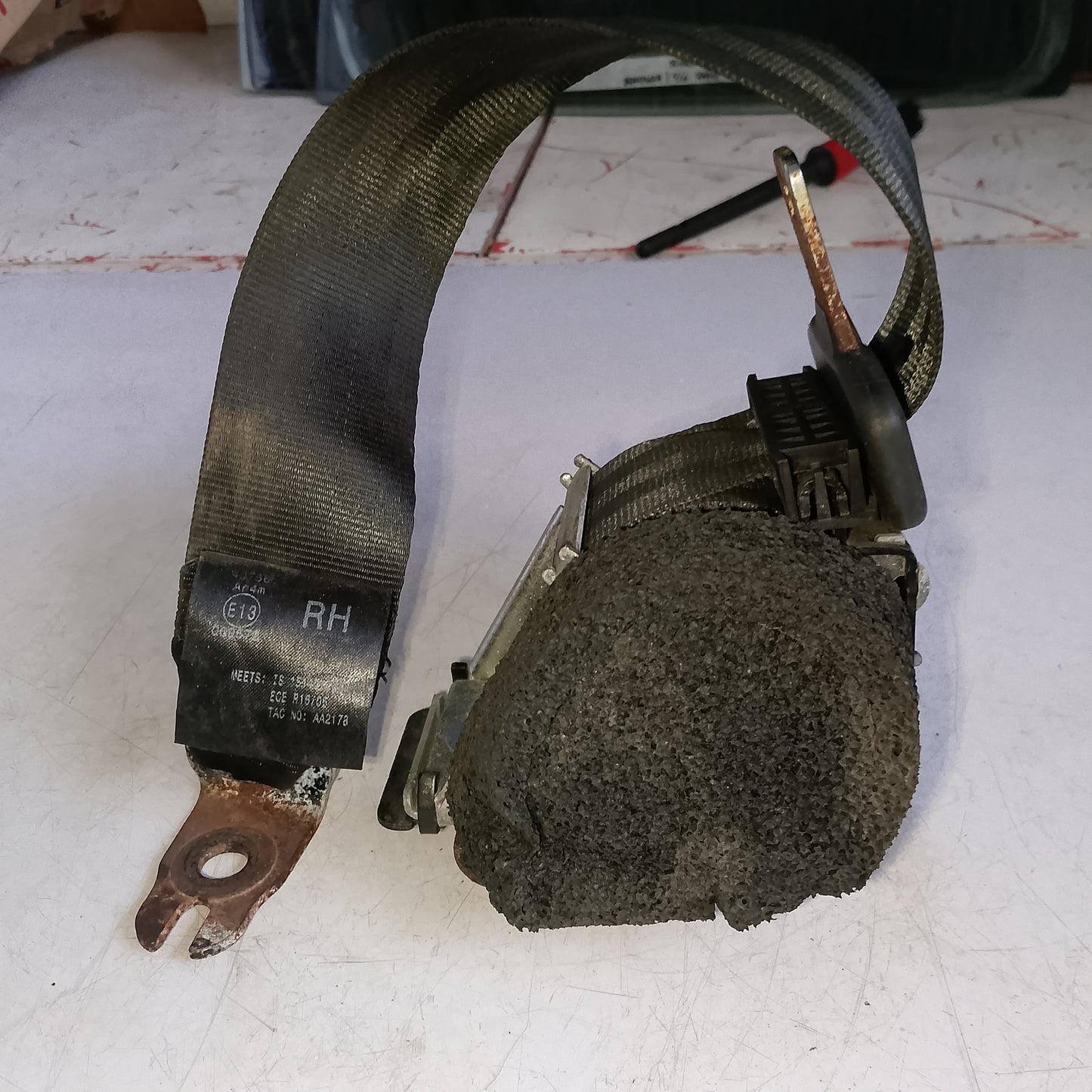 Seat Belt Assy R/P/S | Focus
