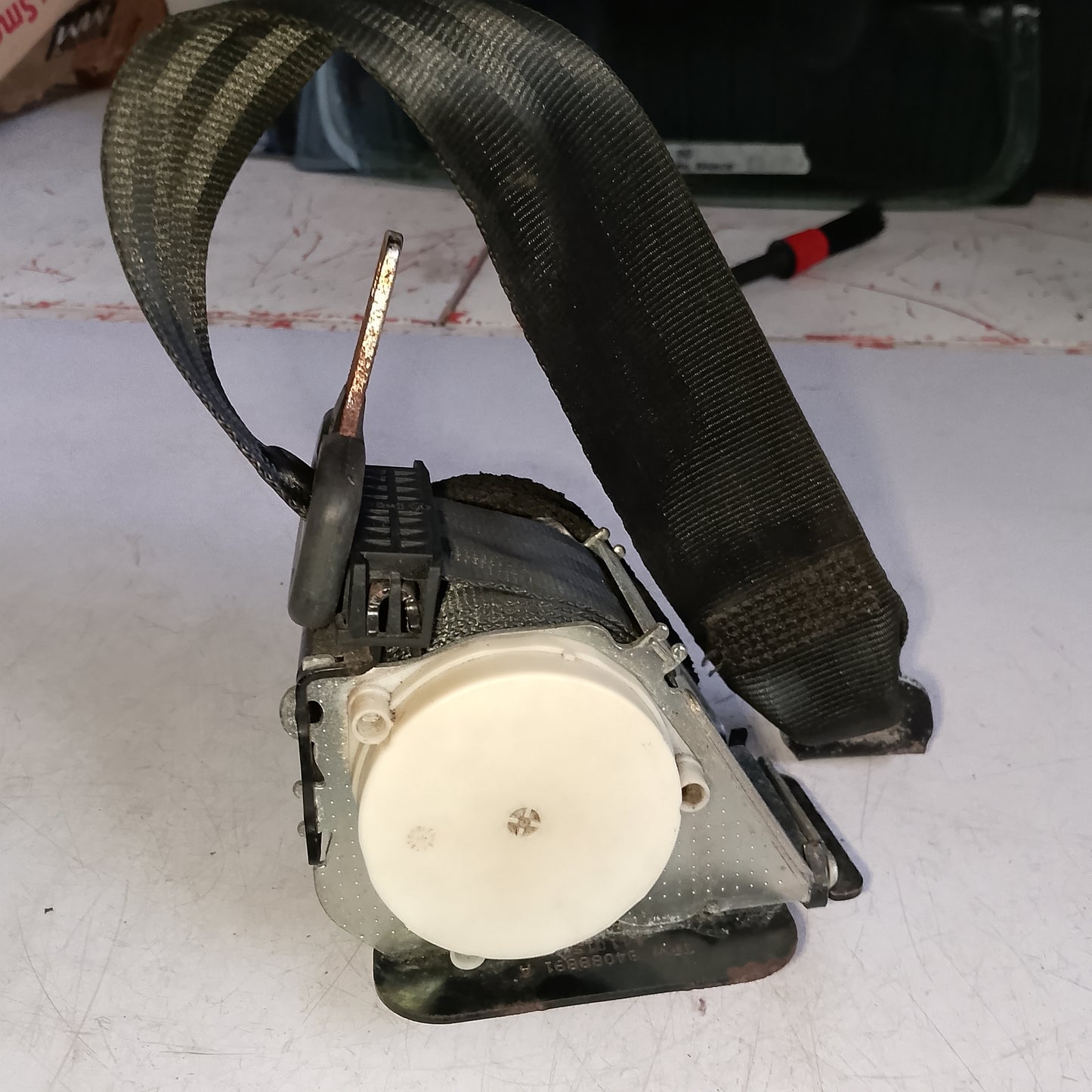Seat Belt Assy R/P/S | Focus