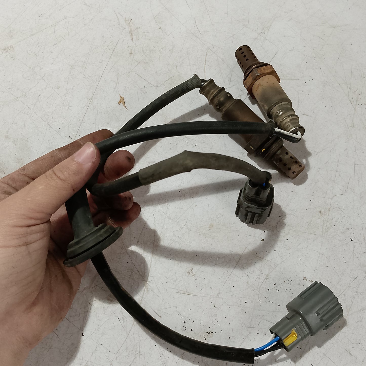 Oxygen Sensor Bank 1 & 2 | Vios Robin