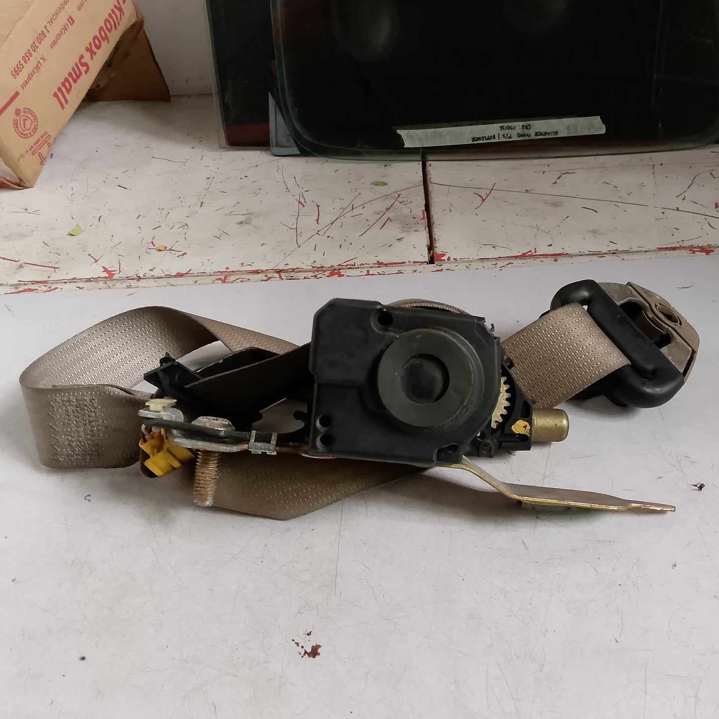 Seatbelt Assy F/D/S | Expedition