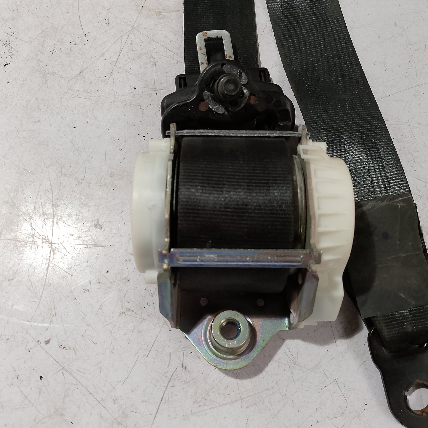 Seatbelt F/P/S | Ford EcoSport
