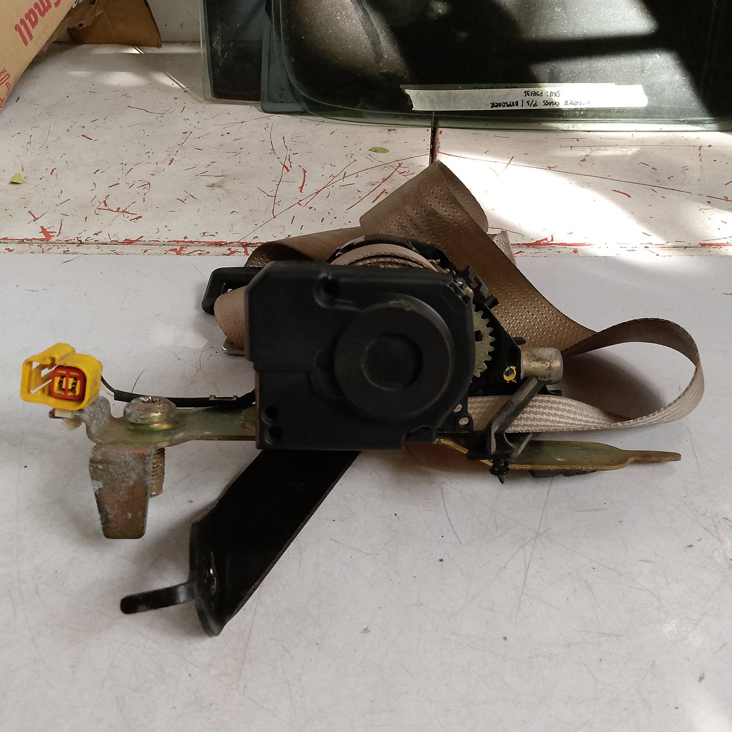 Seatbelt Assy F/P/S | Expedition