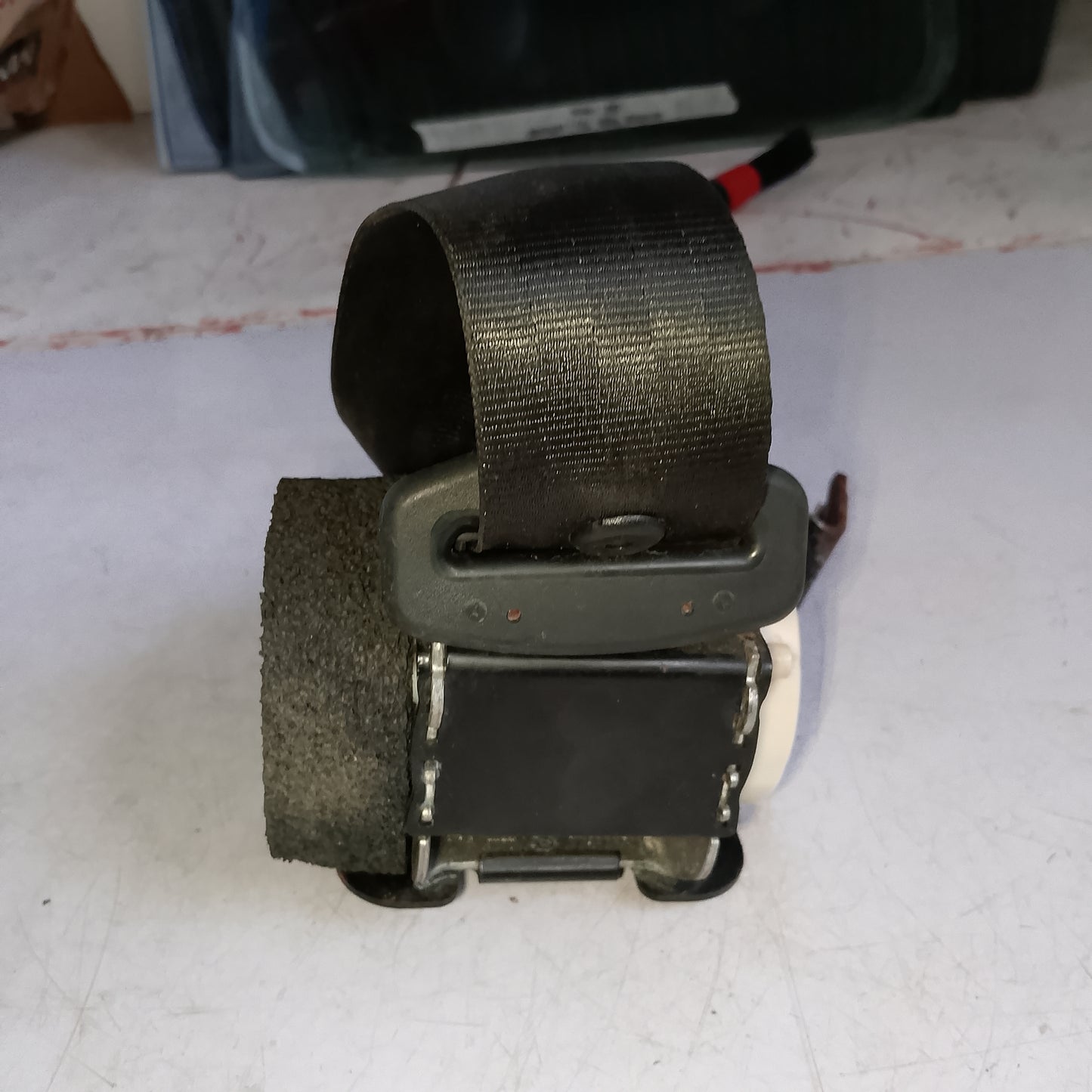 Seat Belt Assy R/P/S | Focus